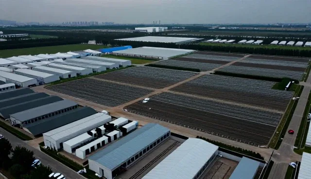 应用开发中代码优化的选型关注点分析